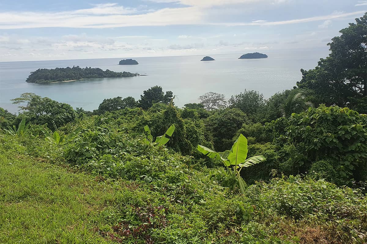 thai 2_0000_Thai-5